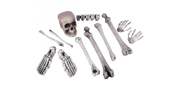 Cráneo y 11 huesos.