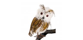 Buho