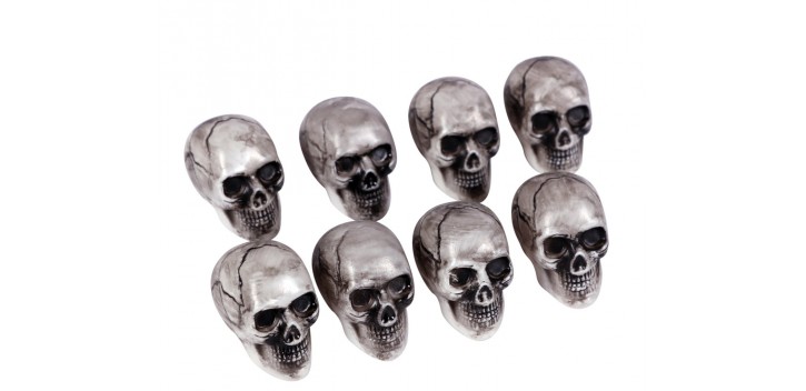 Cráneos de plástico