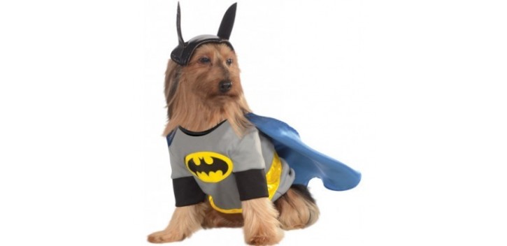 Disfraz Batman Mascotas