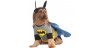 Disfraz Batman Mascotas