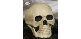 Calavera