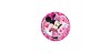 Platos Minnie Mouse
