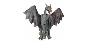 DRAGON 187 CMS.